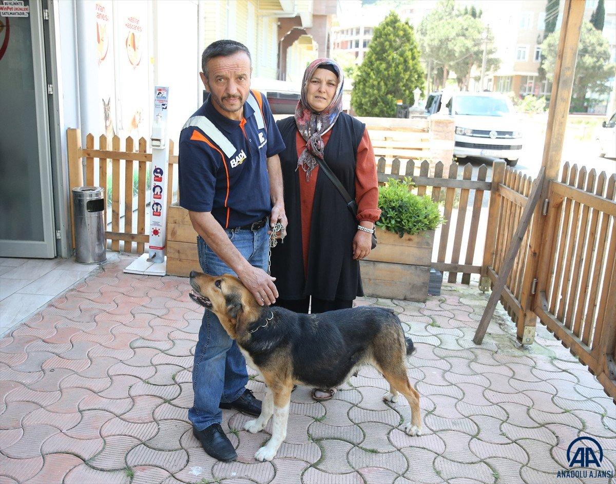 Giresun'da rahmi 23.5 kiloya ulaşan köpek ameliyat edildi