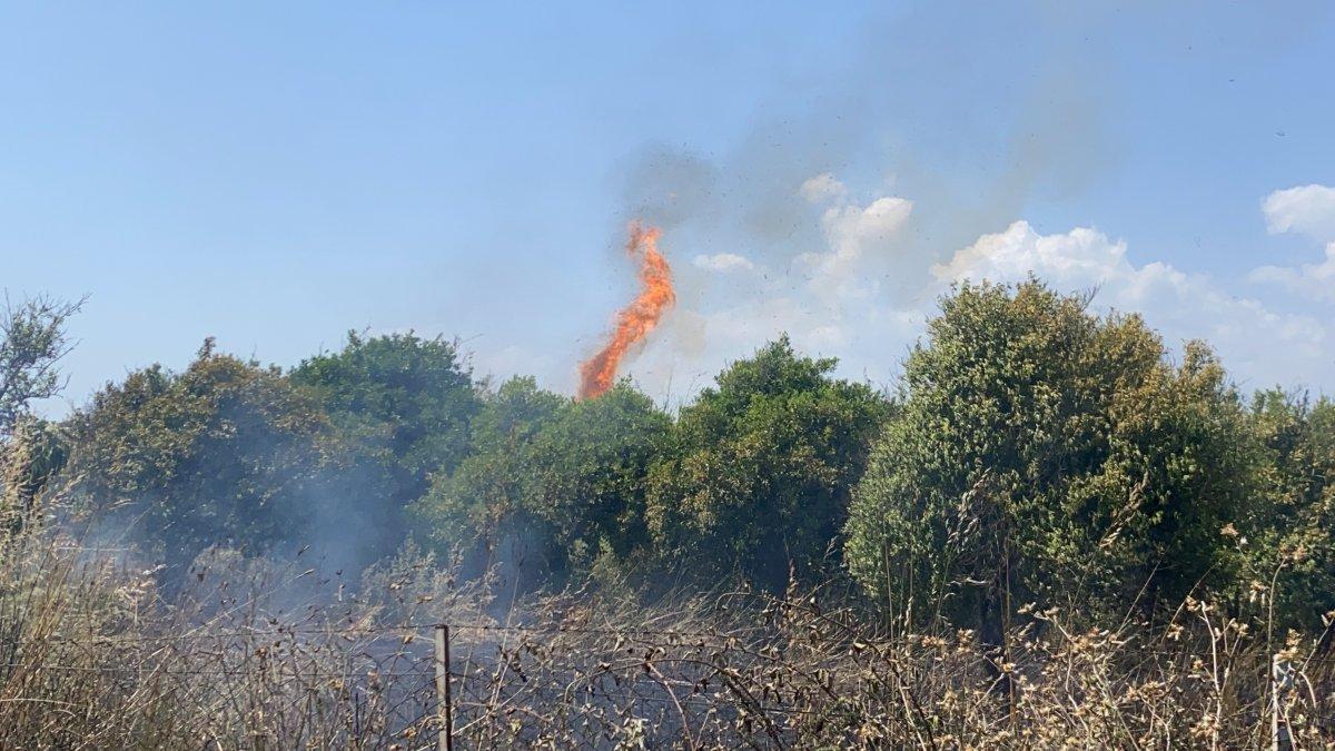 Fethiye'de otluk alanda yangın çıktı