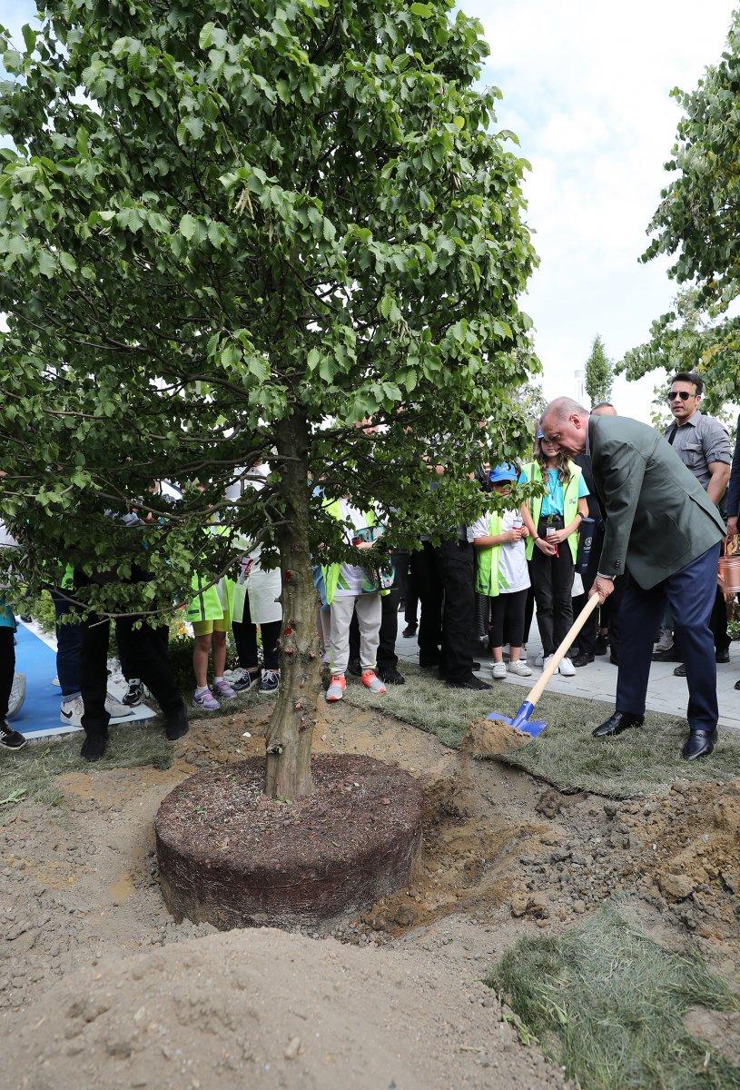 Cumhurbaşkanı Erdoğan, Atatürk Havalimanı'na ilk fidanı dikti
