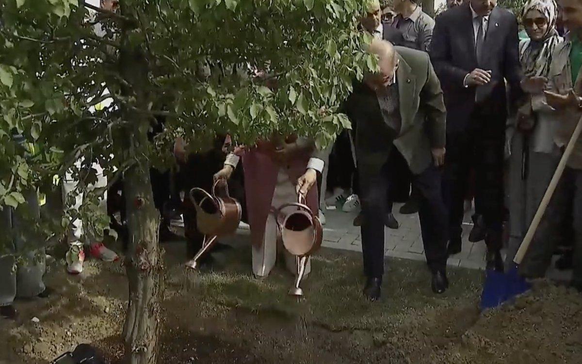 Cumhurbaşkanı Erdoğan, Atatürk Havalimanı'na ilk fidanı dikti