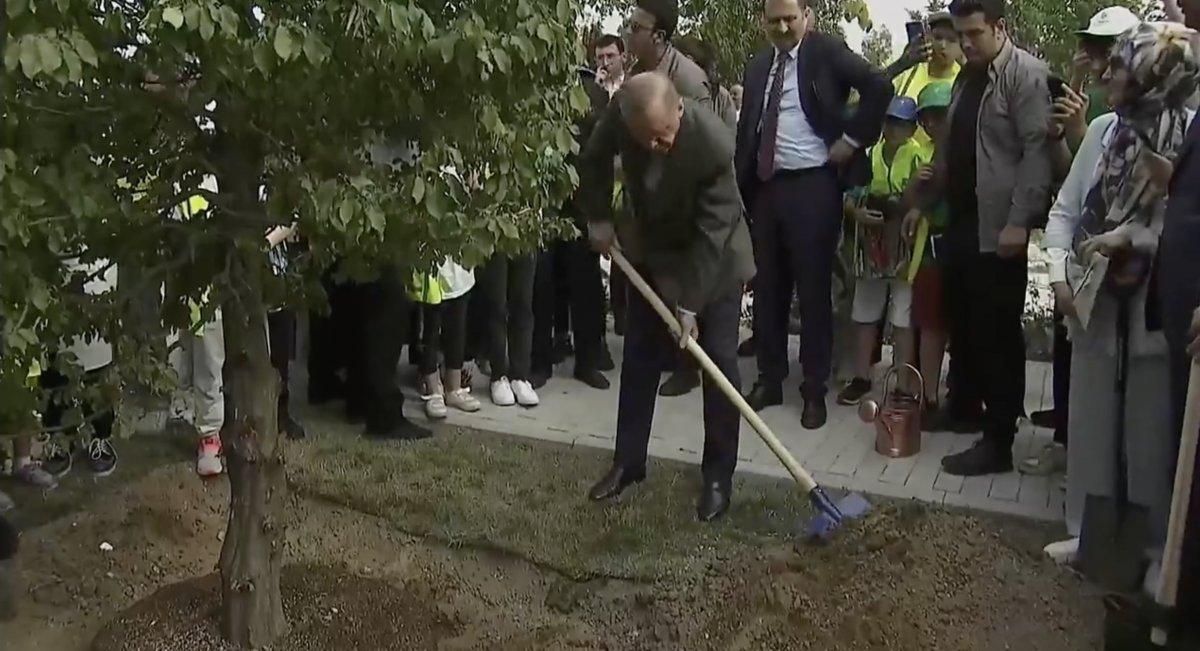 Cumhurbaşkanı Erdoğan, Atatürk Havalimanı'na ilk fidanı dikti