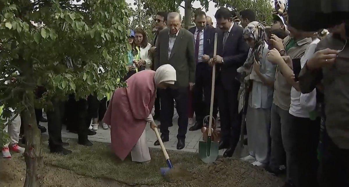 Cumhurbaşkanı Erdoğan, Atatürk Havalimanı'na ilk fidanı dikti