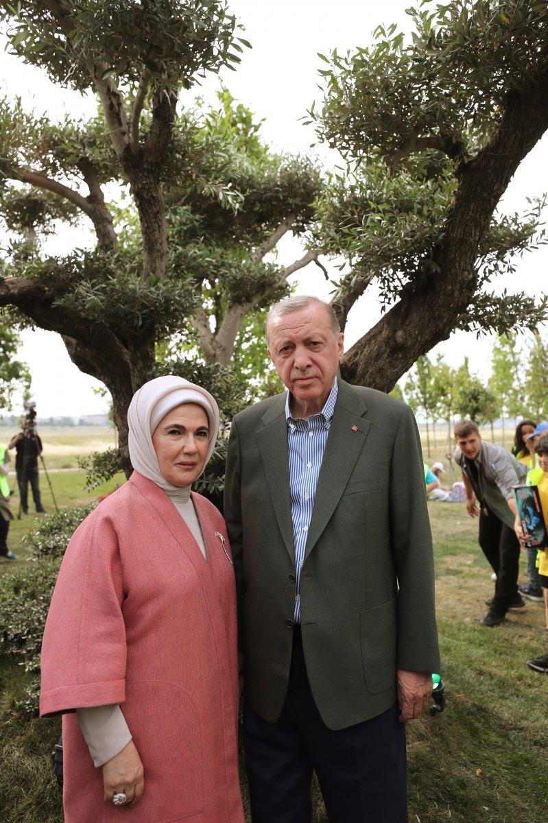 Cumhurbaşkanı Erdoğan, Atatürk Havalimanı'na ilk fidanı dikti