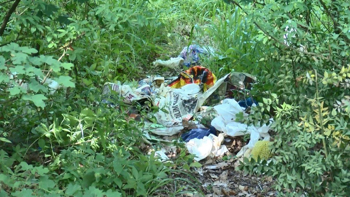 Belgrad Ormanı'ndan piknikçiler gitti, çöpler kaldı