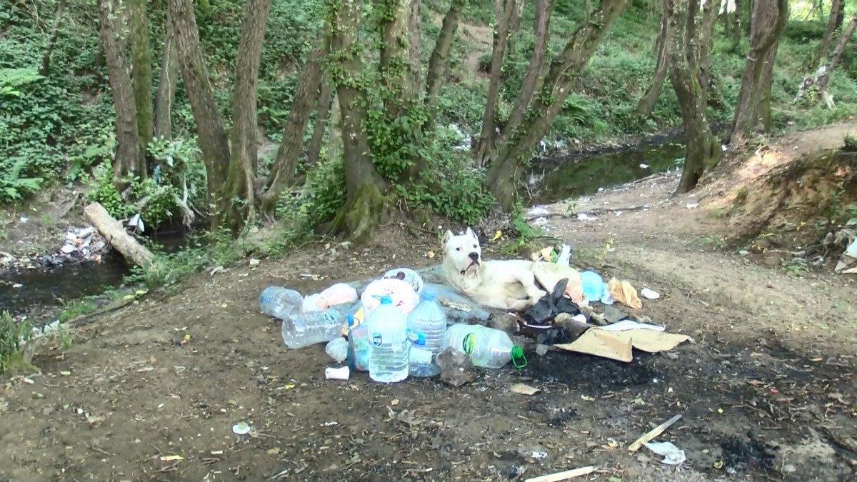 Belgrad Ormanı'ndan piknikçiler gitti, çöpler kaldı