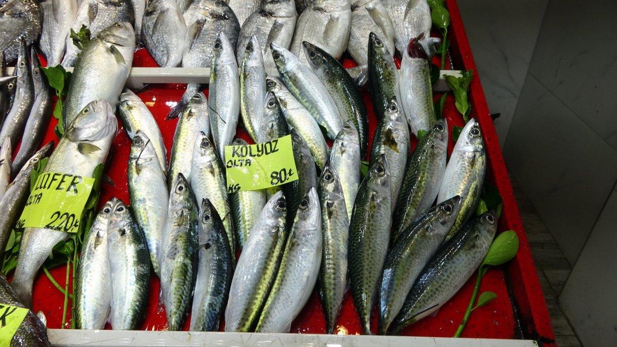 Çanakkale'de sardalya, bu yıl 50 liradan tezgaha çıktı