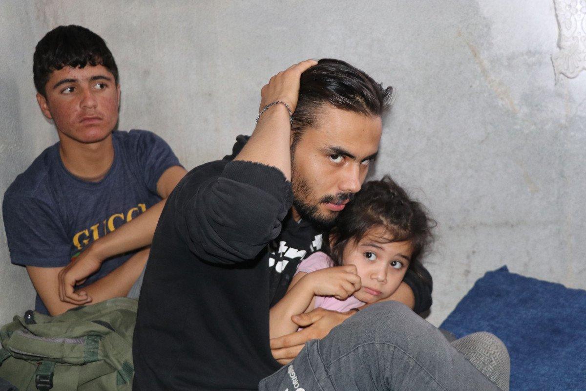 Van polisi 13 kaçak göçmen yakaladı