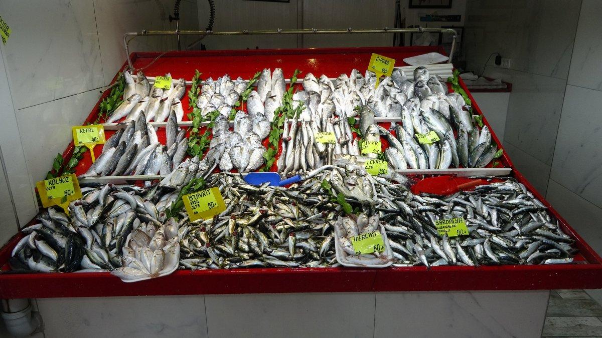 Çanakkale'de sardalya, bu yıl 50 liradan tezgaha çıktı