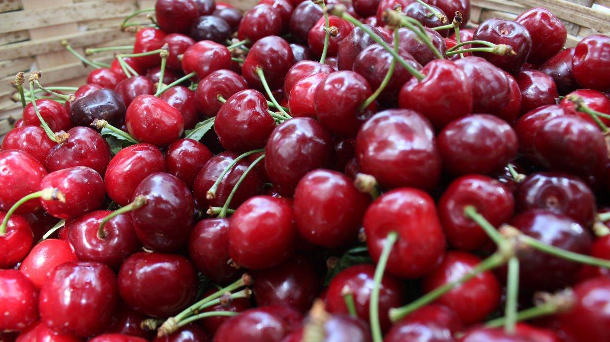 Kırklareli’nde Karahıdır kirazı, 25 TL’den tezgahta yerini aldı