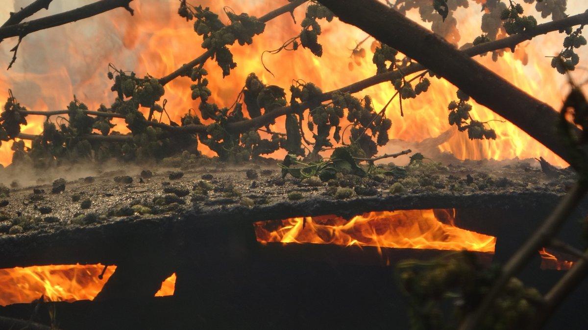 Pendik'te yangına mahalleli müdahalesi