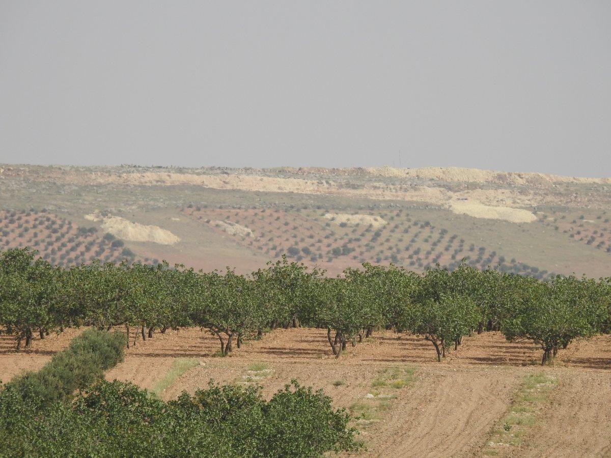 Türkiye'nin operasyon sinyali sonrası teröristler kaçtı