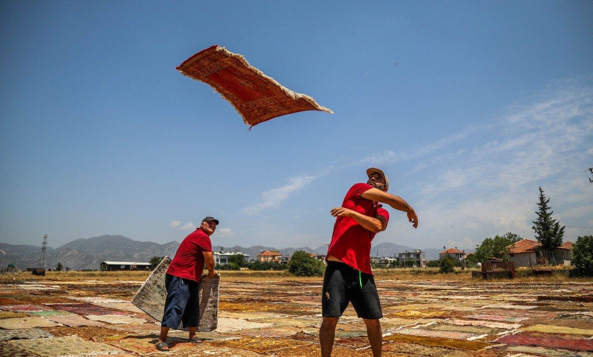 Antalya'nın 'halı tarlaları'nda renkli telaş başladı