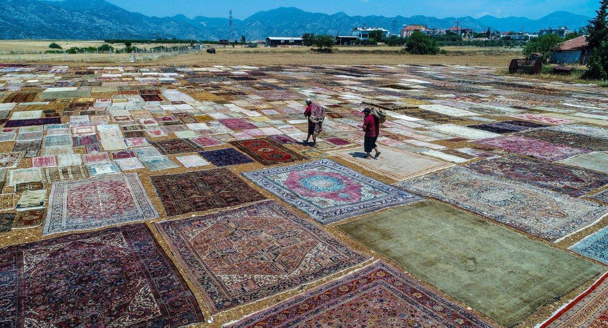 Antalya'nın 'halı tarlaları'nda renkli telaş başladı