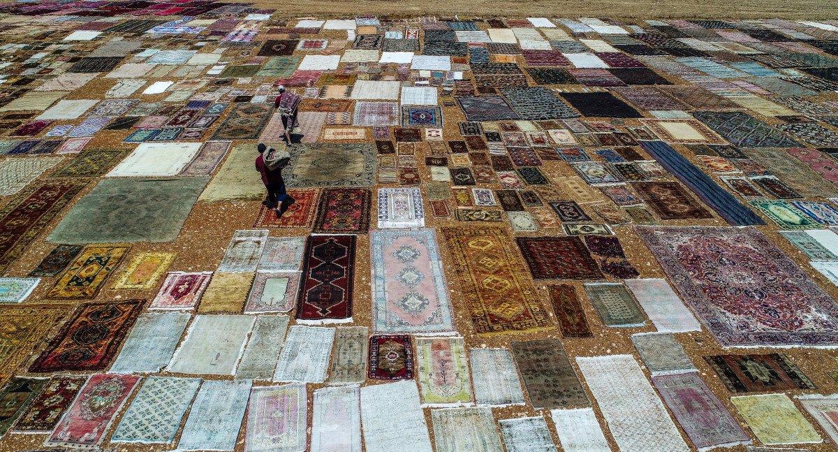 Antalya'nın 'halı tarlaları'nda renkli telaş başladı