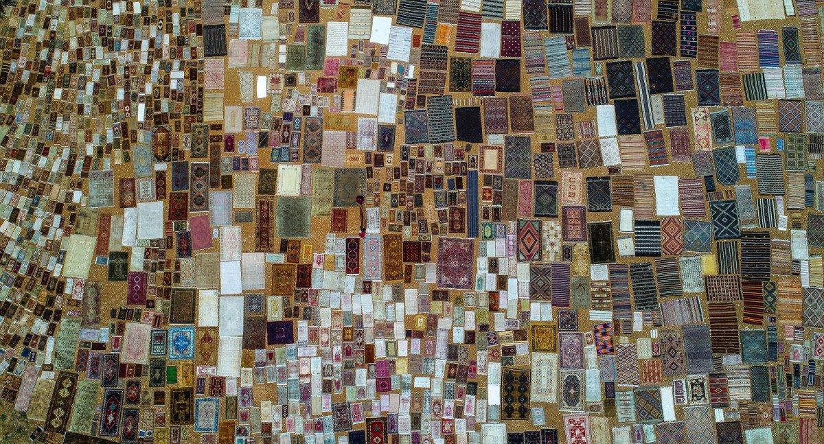 Antalya'nın 'halı tarlaları'nda renkli telaş başladı