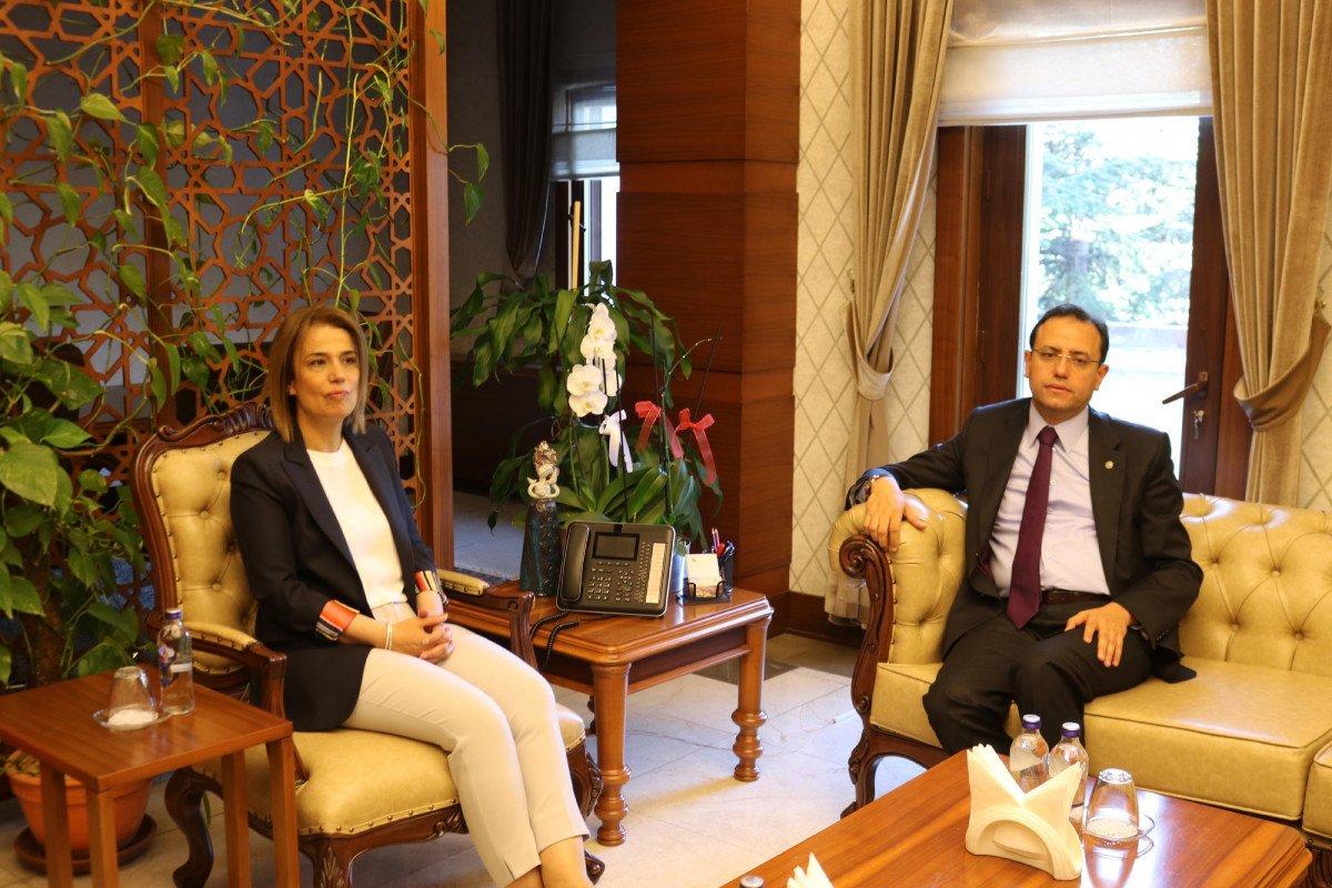 Tarım ve Orman Bakanı Yardımcısı Ebubekir Gizlidier: Kıtlık beklentisi yok