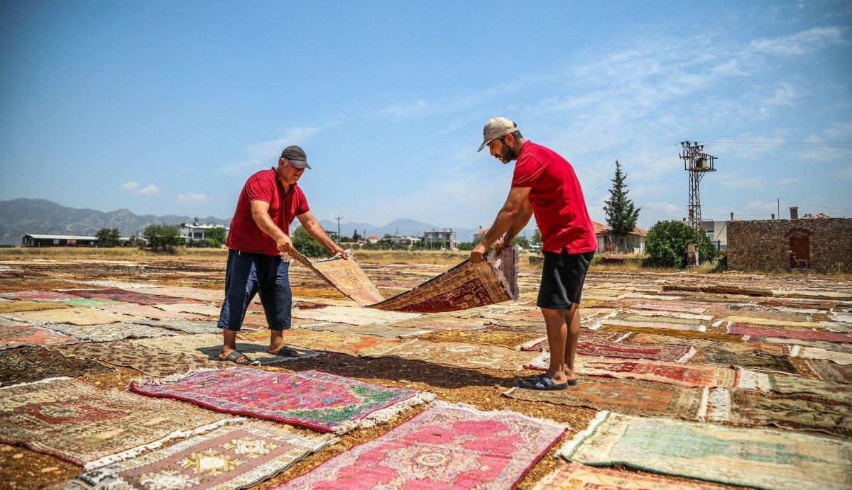 Antalya'nın 'halı tarlaları'nda renkli telaş başladı