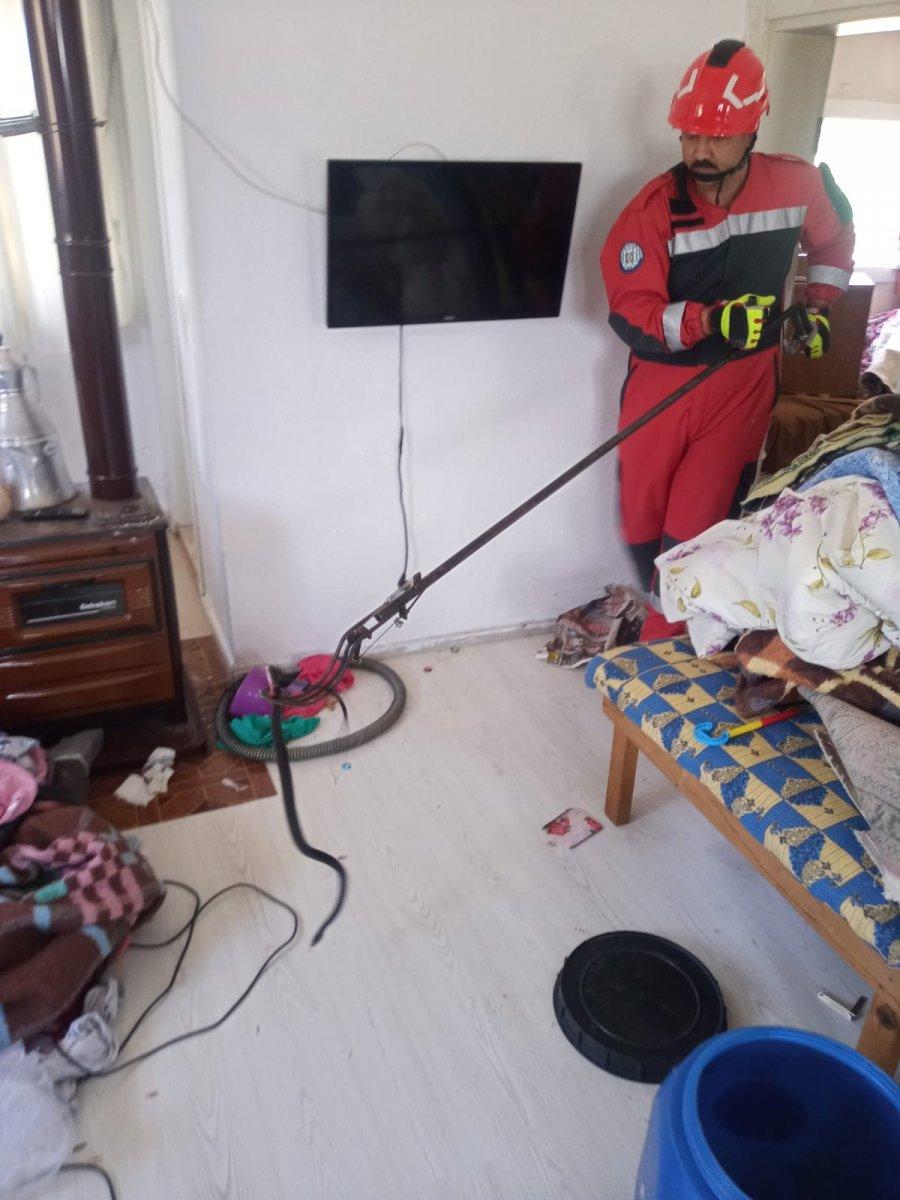 Fethiye'de eve giren yılanı itfaiye yakaladı