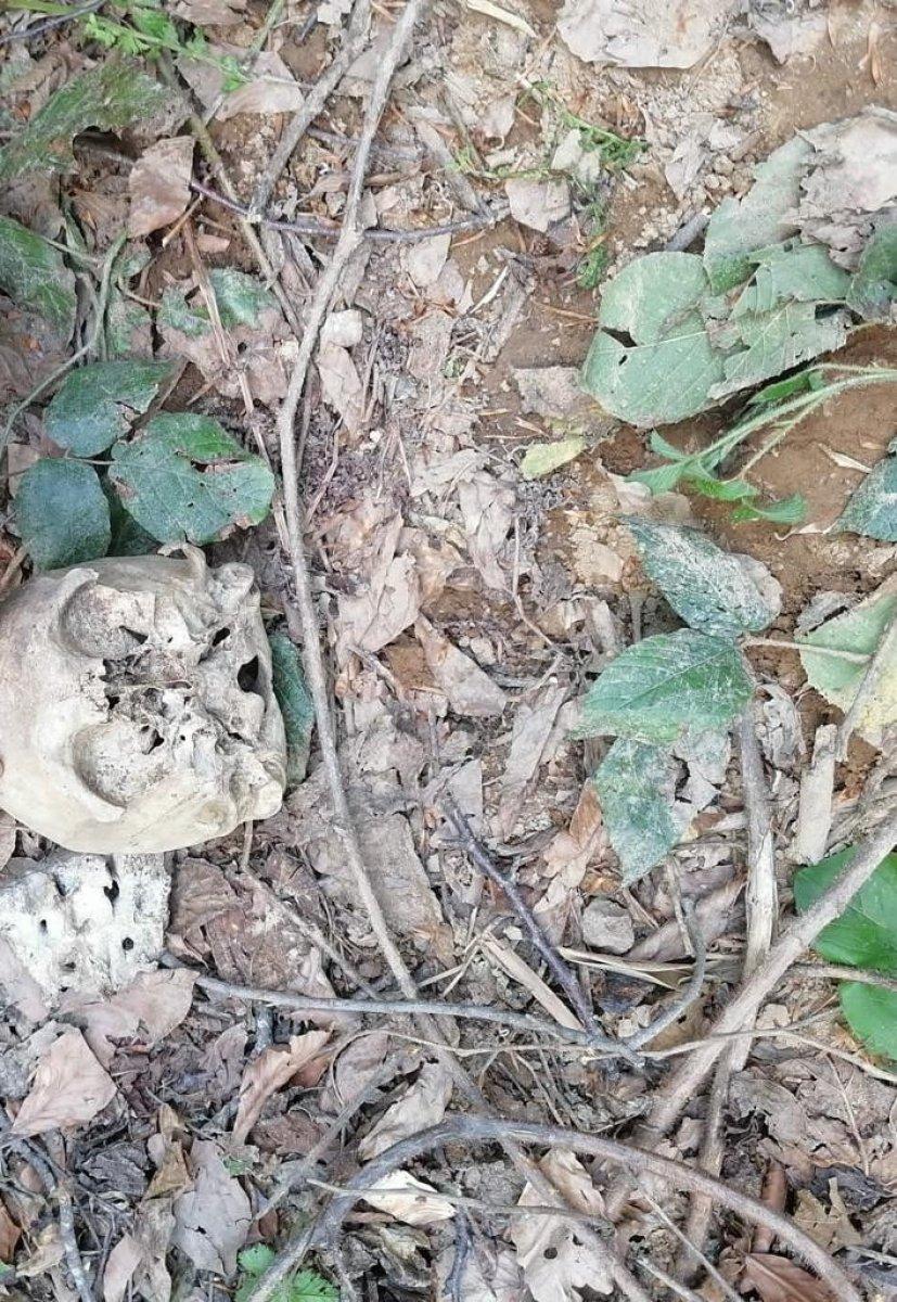 Gümüşhane’de köylülerin bulduğu kafatasının kime ait olduğu ortaya çıktı