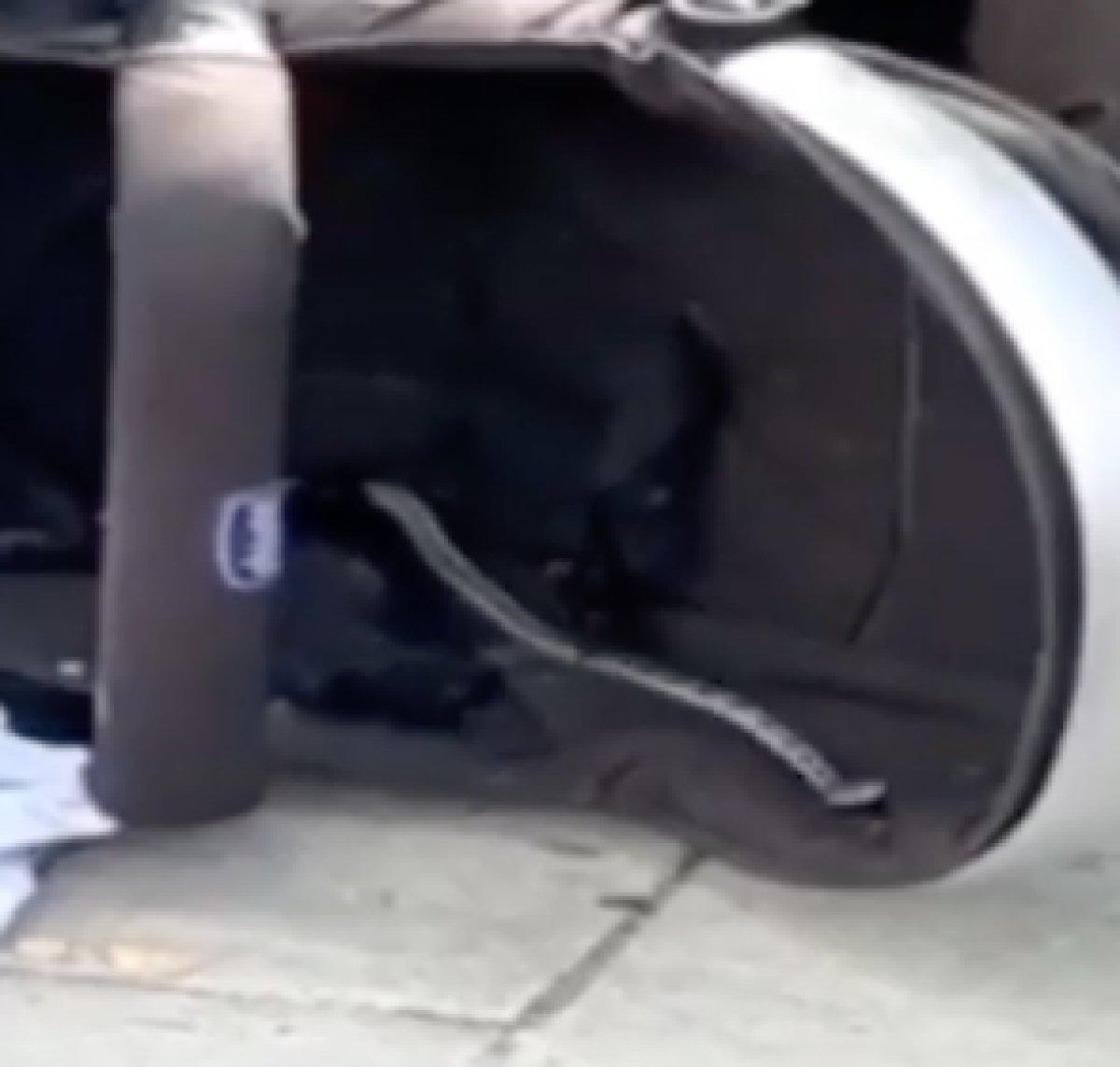 Isparta'da bebek arabasının içinden yılan çıktı