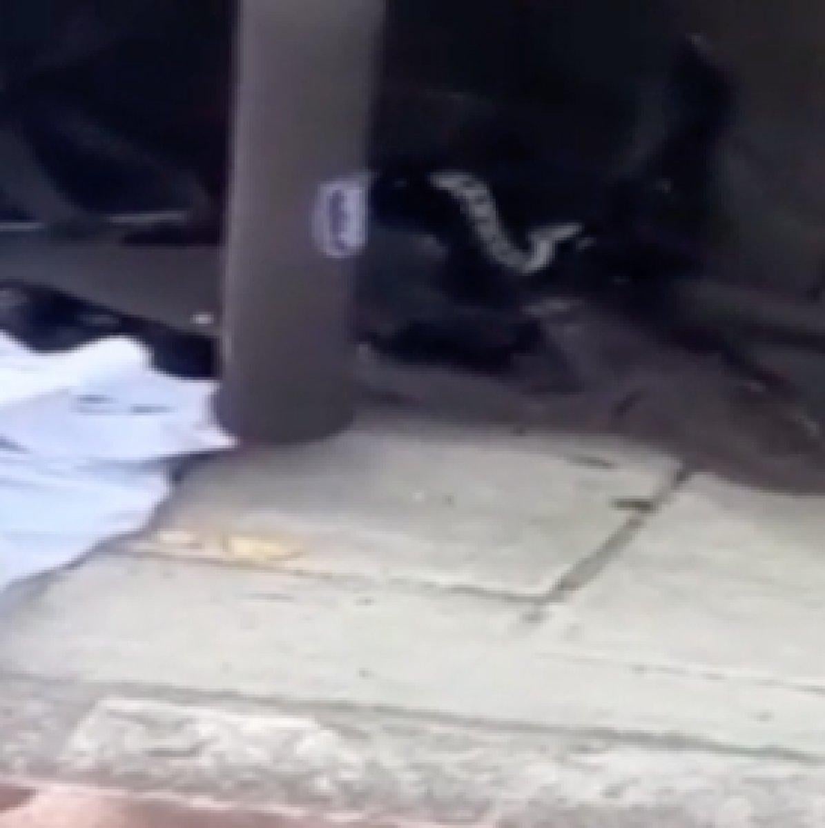 Isparta'da bebek arabasının içinden yılan çıktı