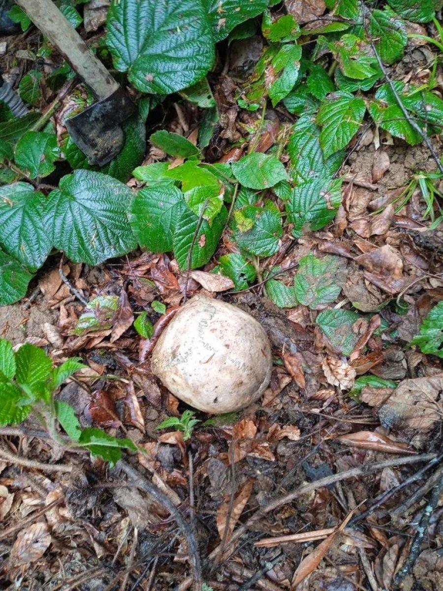 Gümüşhane’de köylülerin bulduğu kafatasının kime ait olduğu ortaya çıktı