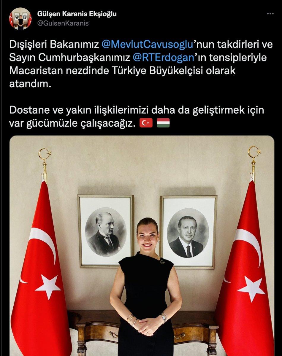 Macaristan Büyükelçiliğine Gülşen Karanis Ekşioğlu atandı
