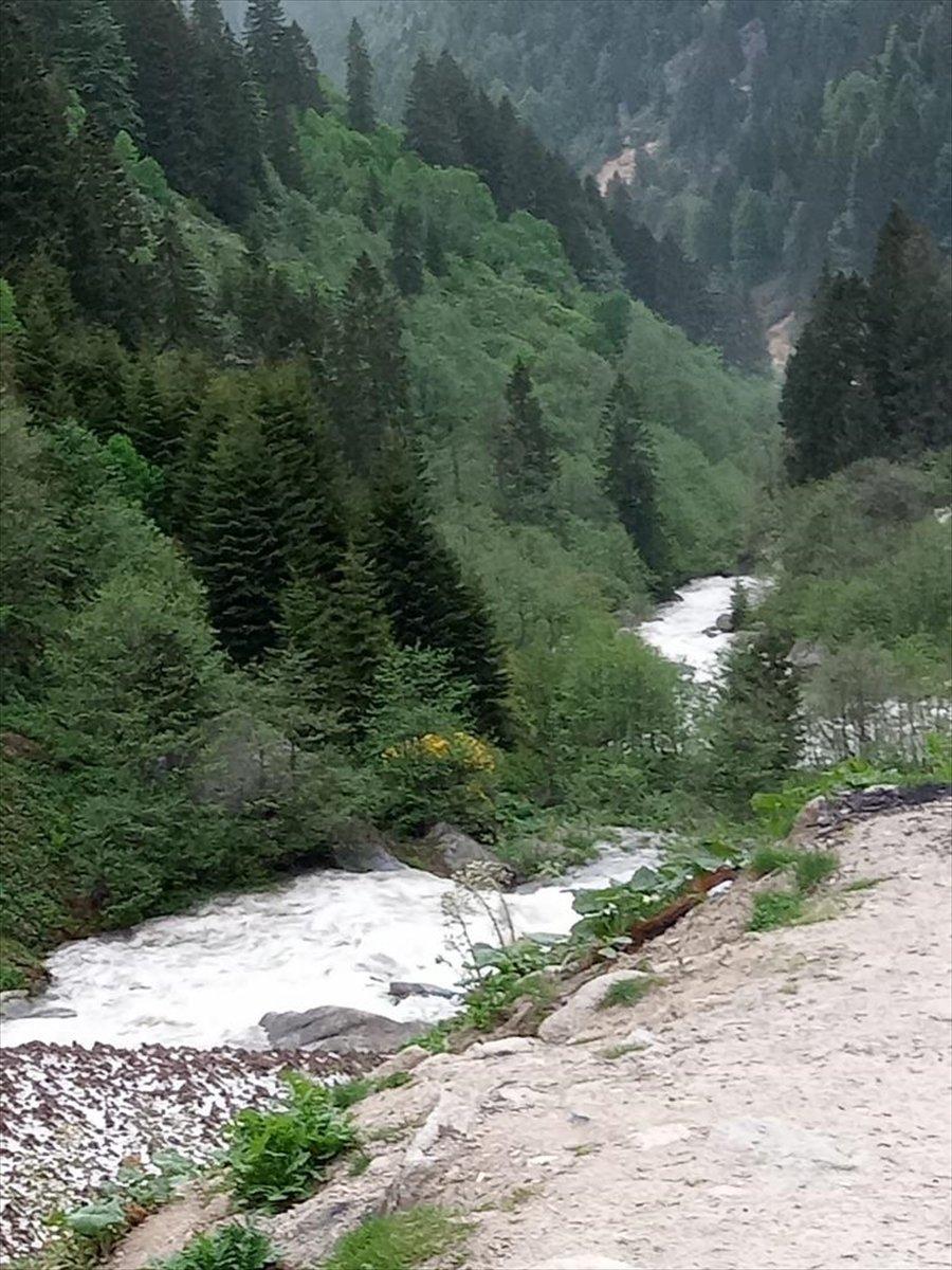 Rize'de Ummanlı turist fotoğraf çektirirken dereye düştü