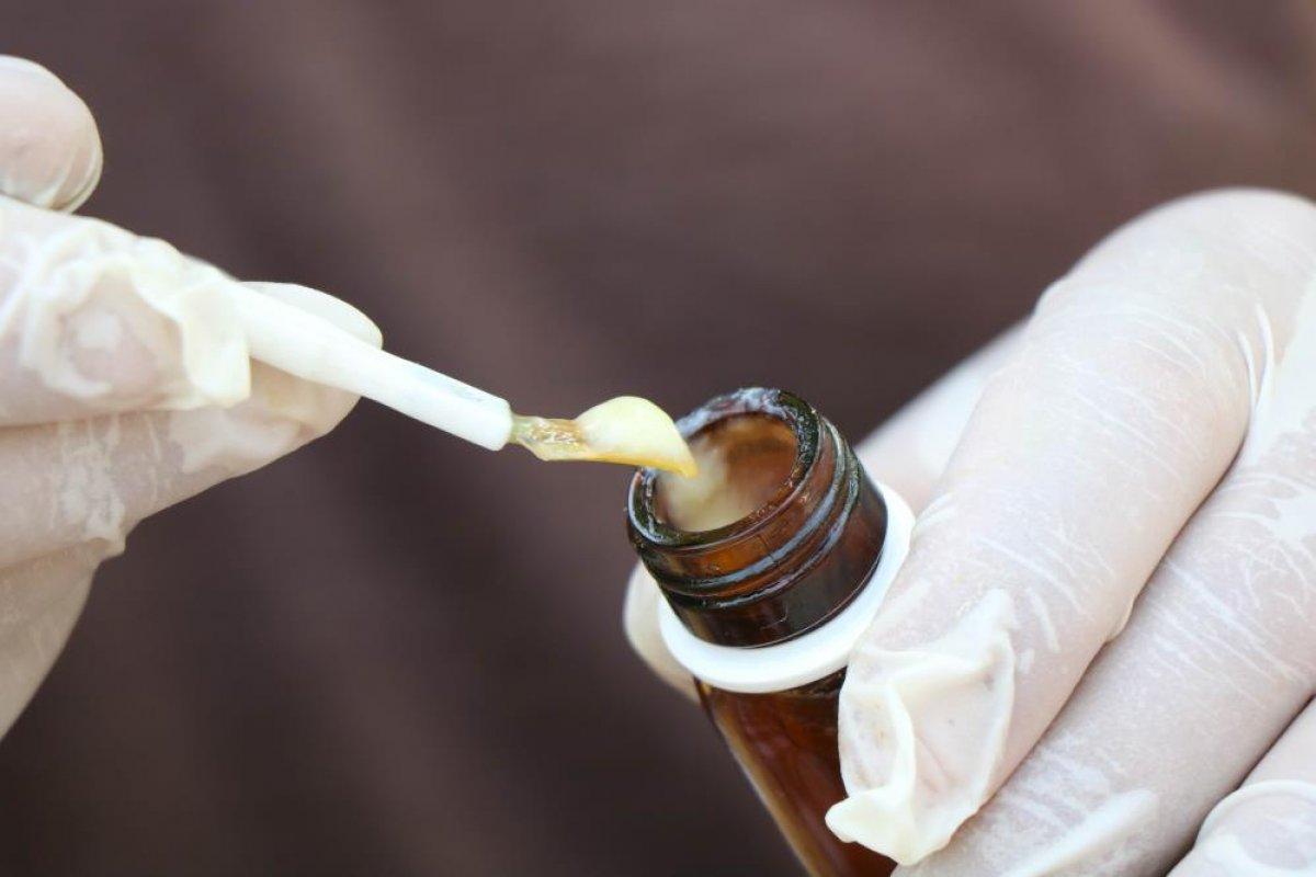 Arı sütünün değeri arttı: Kilosu 15 bin TL