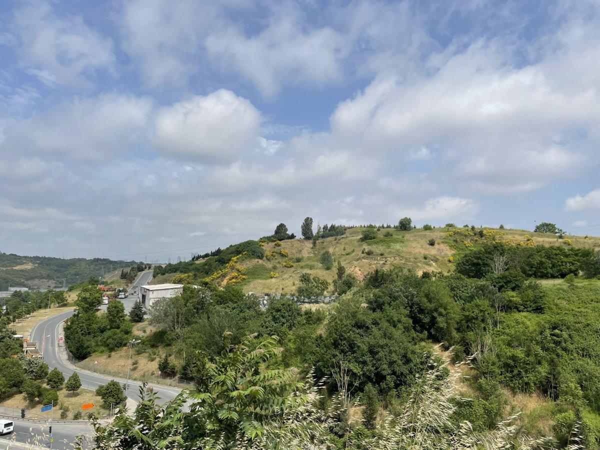 Arsalar açık artırma ile satışa çıktı