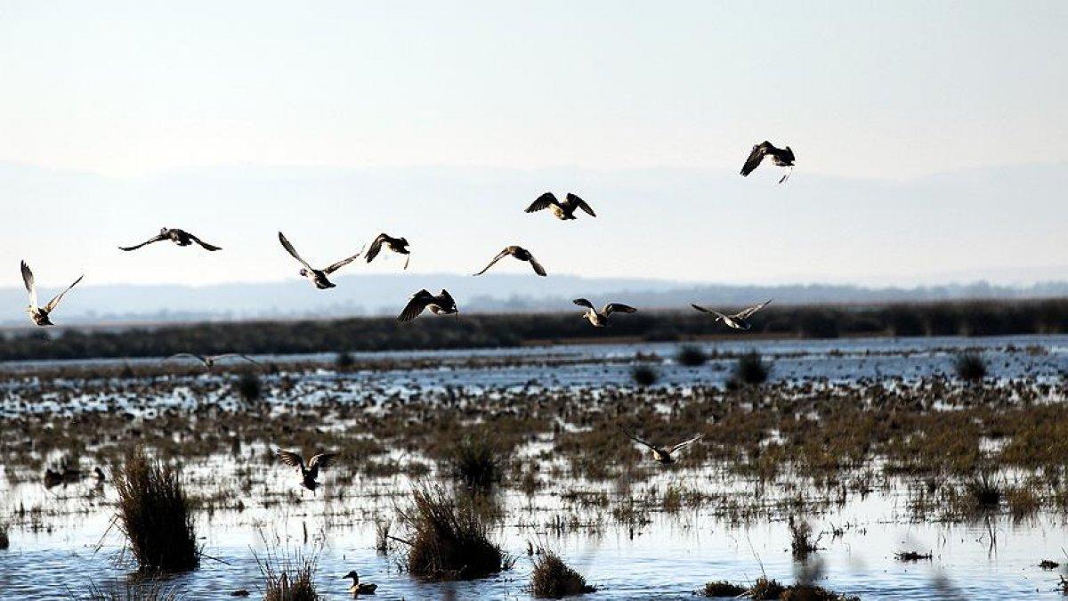 Küresel ısınmayı durdurmanın yolu: Her şeyden yeteri kadar kullanmak