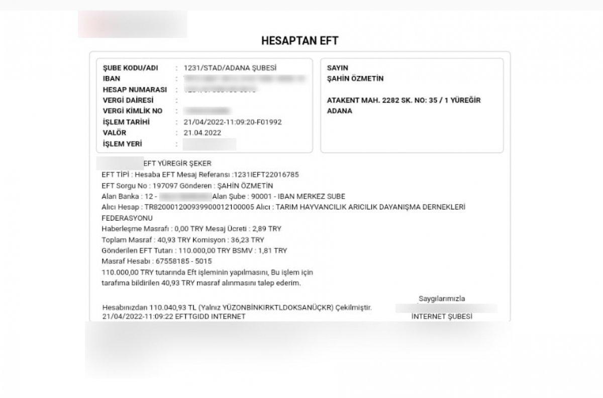 Adanalı arıcılar 'ucuz şeker' mağduru oldu