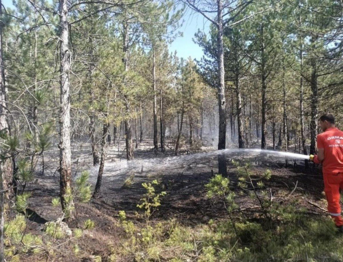 Kütahya Emet'te orman yangını
