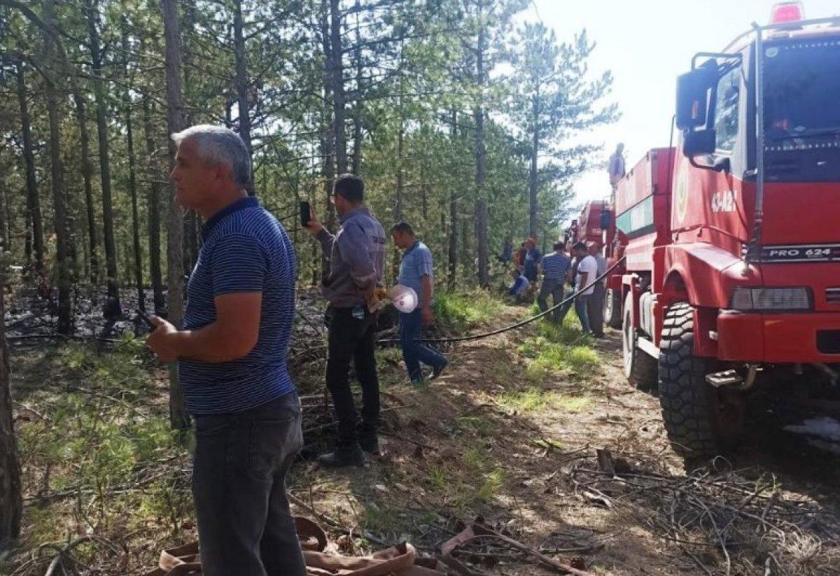 Kütahya Emet'te orman yangını