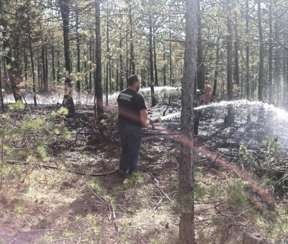 Kütahya Emet'te orman yangını