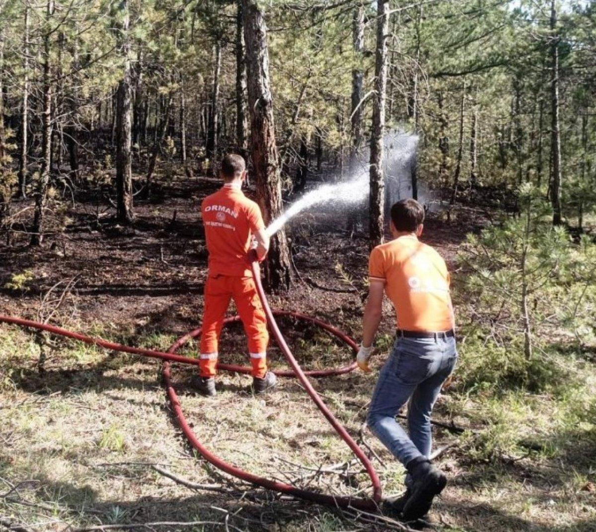 Kütahya Emet'te orman yangını