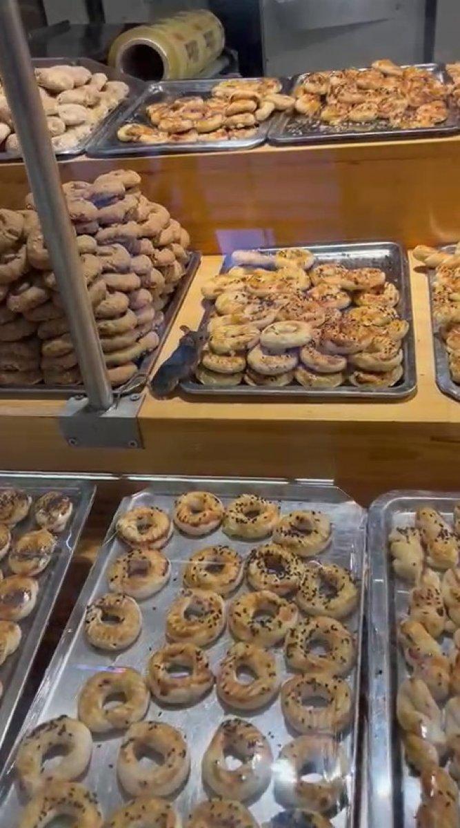 İstanbul'daki zincir markete giren fare, reyonda karnını doyurdu