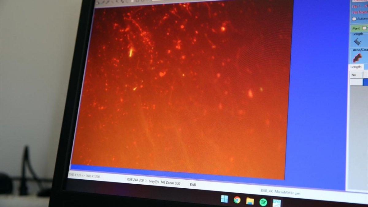 Poşet çaylardaki gizli tehlike: 13 bin mikroplastik tespit edildi