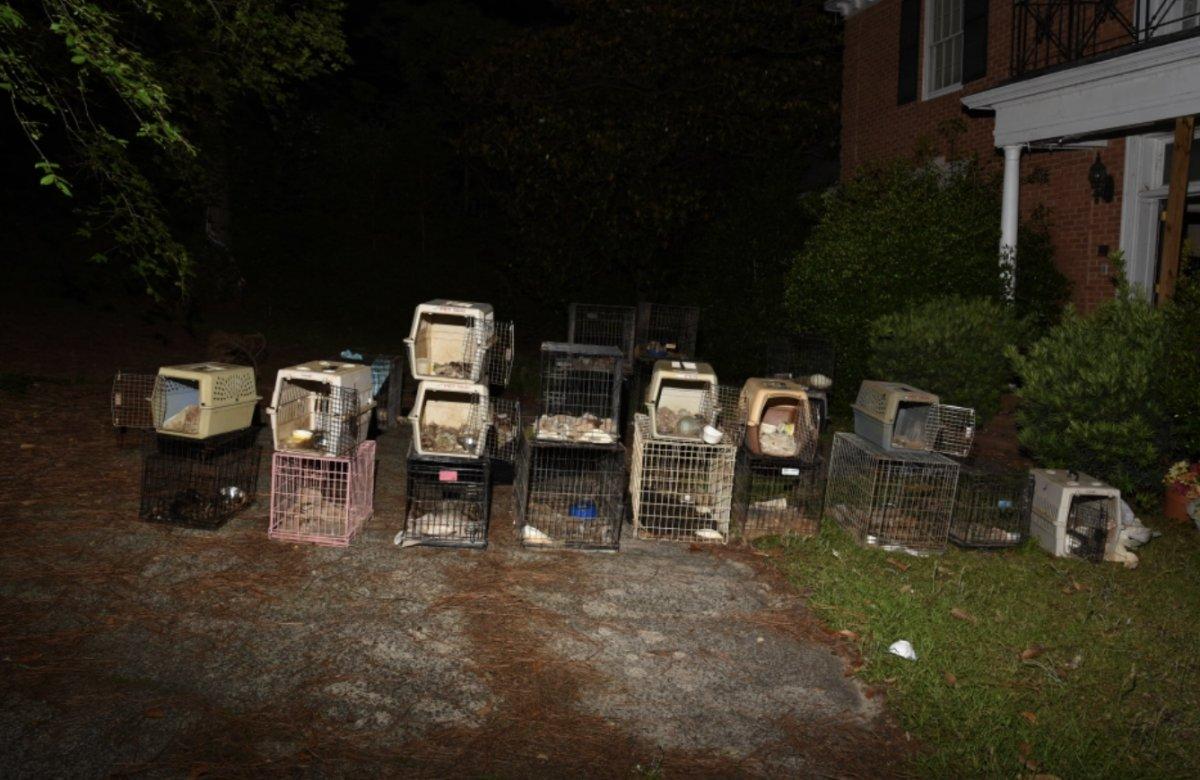 ABD'de hayvanları koruyan kadının evinde 30 ölü hayvan bulundu