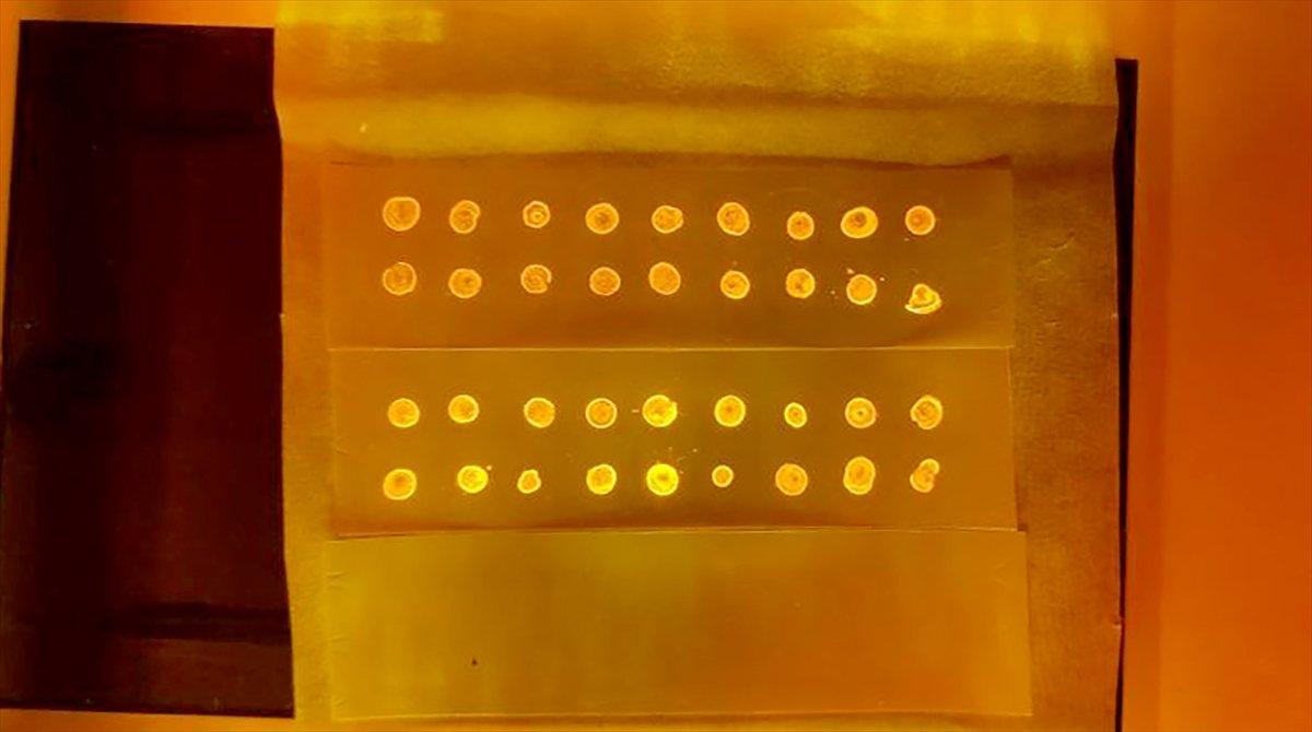 İTÜ, 1 saniyede koronavirüsü tespit edebilen kit geliştirdi