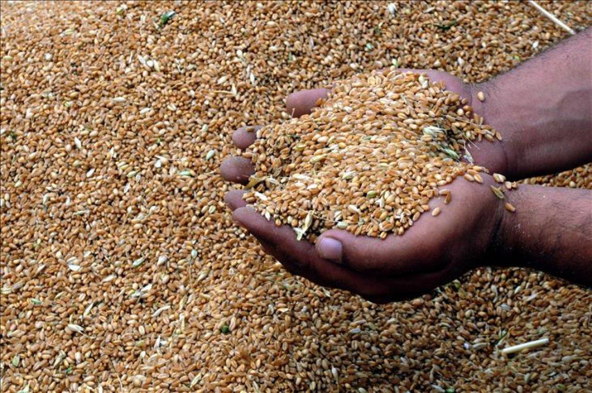 Rusya Dışişleri Bakanı Sergey Lavrov ve Mevlüt Çavuşoğlu görüştü