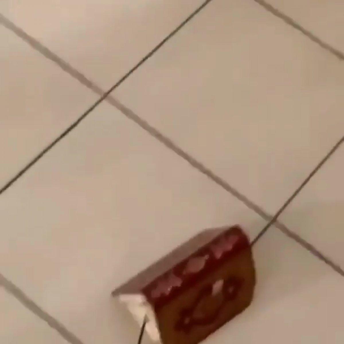 Yıldız Tilbe’den Kur’an-ı Kerim tepkisi