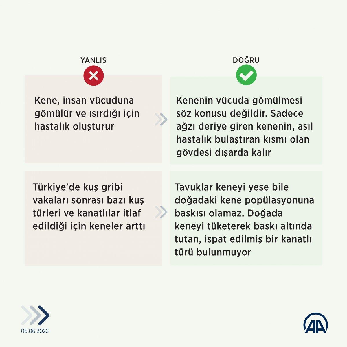 Yaz mevsiminin korkulu rüyası kene hakkında, doğru bilinen yanlışlar