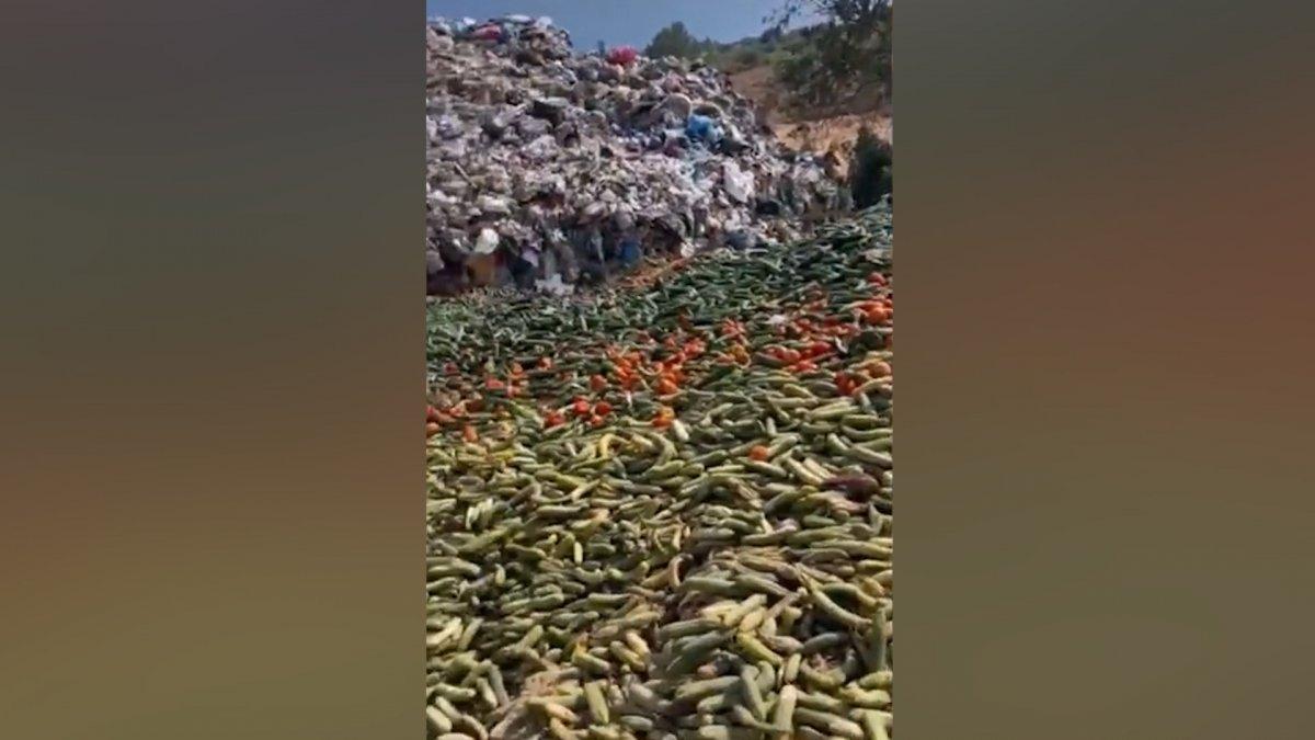 Antalya'da tonlarca sebzeyi boş araziye döktüler