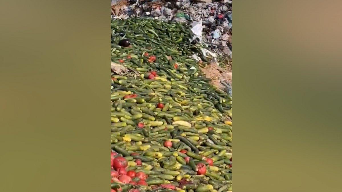 Antalya'da tonlarca sebzeyi boş araziye döktüler