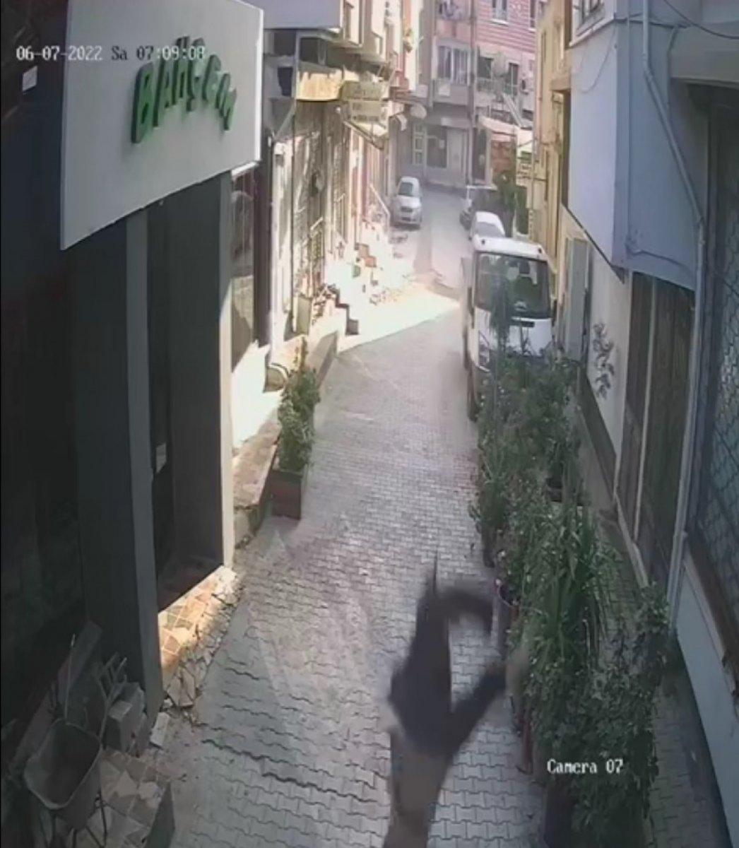 Hatay'da kadın cesedi bulundu