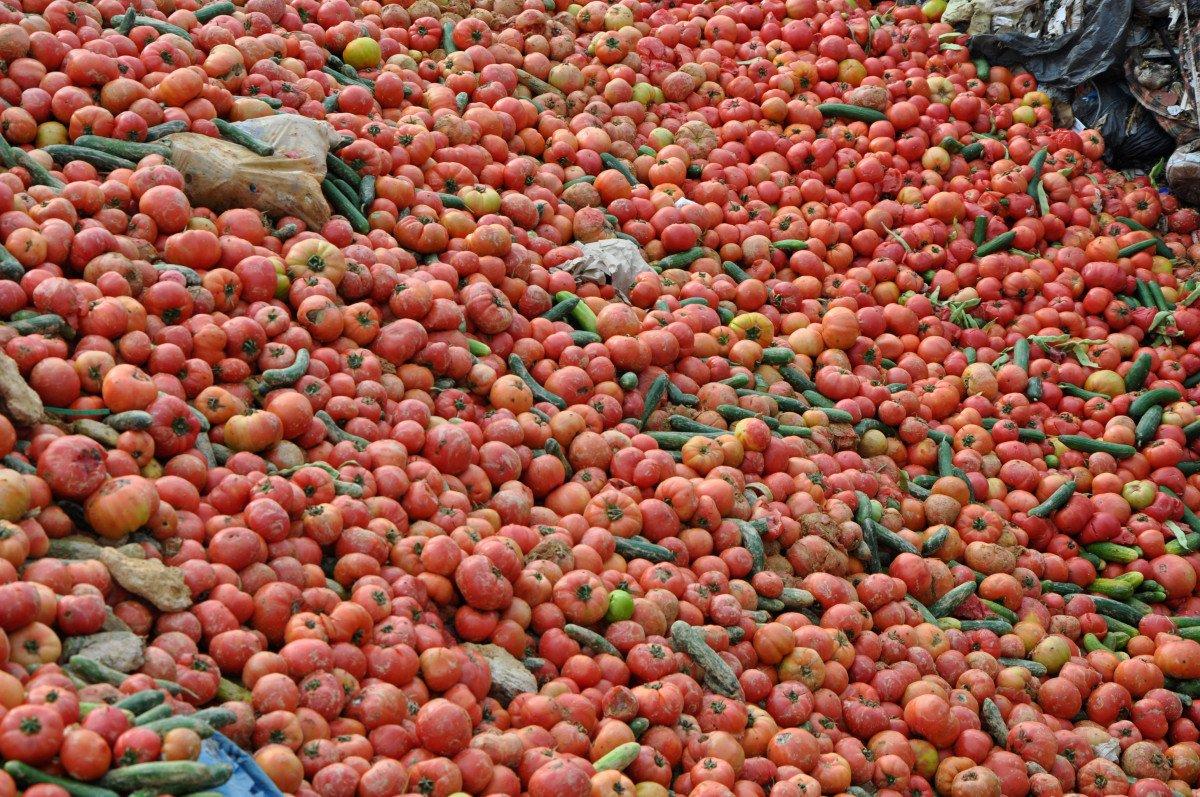 Antalya’da çöpe dökülen sebzelerle ilgili açıklama