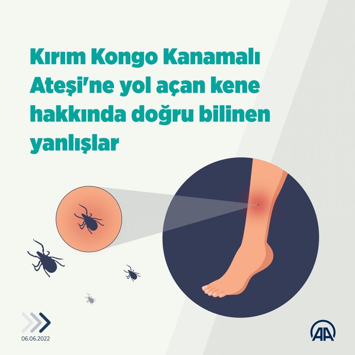 Yaz mevsiminin korkulu rüyası kene hakkında, doğru bilinen yanlışlar