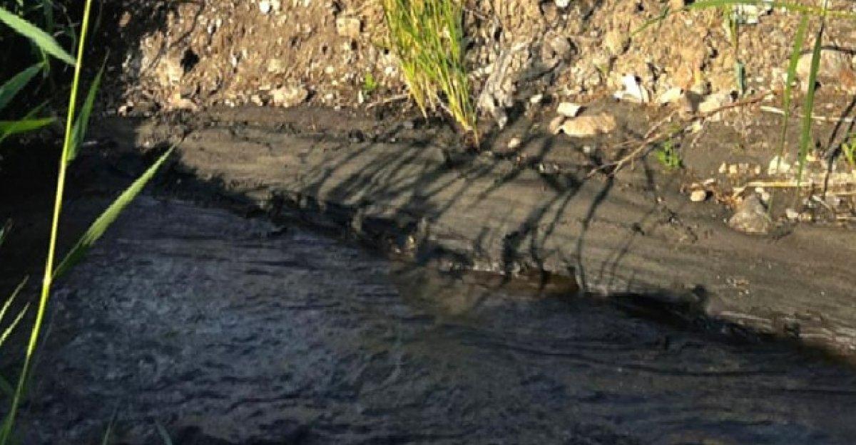 Bakırçay Deresi'ni kirleten firma, faaliyetten men edildi