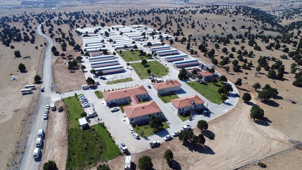 Sokak köpekleriyle mücadelede Konya'dan örnek belediyecilik